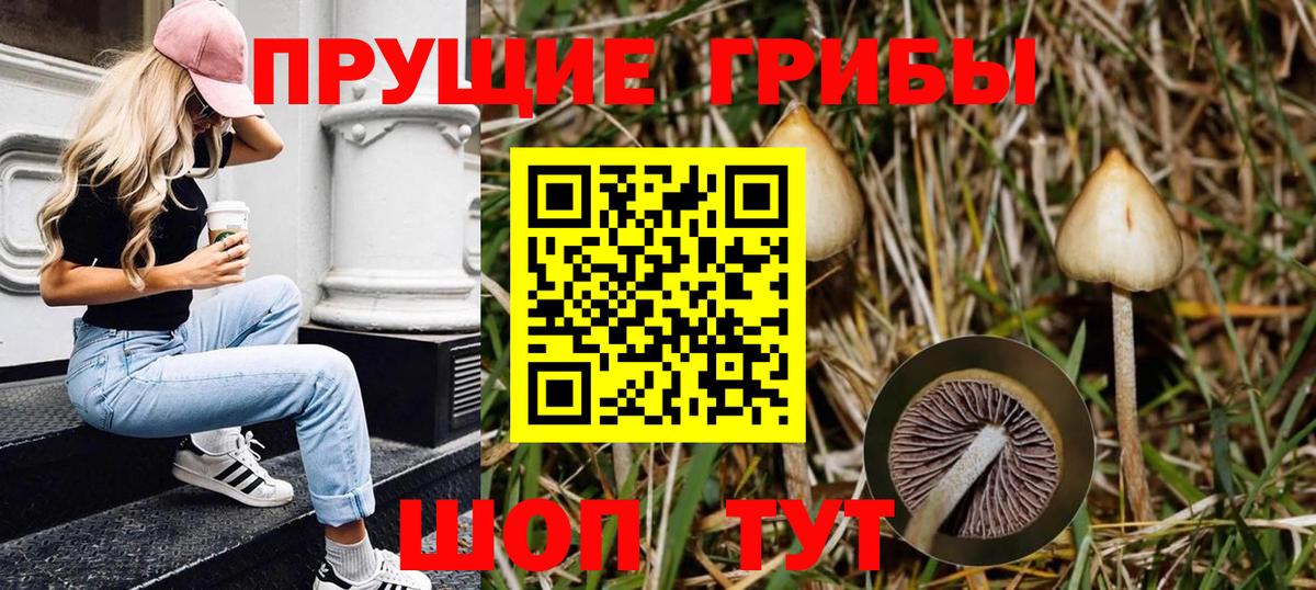Псилоцибиновые грибы Magic Shrooms Новочеркасск