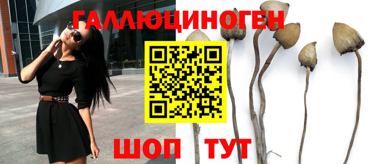 Новочеркасск  Галлюциногенные грибы Psilocybine cubensis  Псилоцибиновые грибы мухоморы  Вход с VPN 